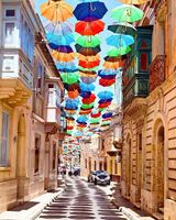 Umbrella street