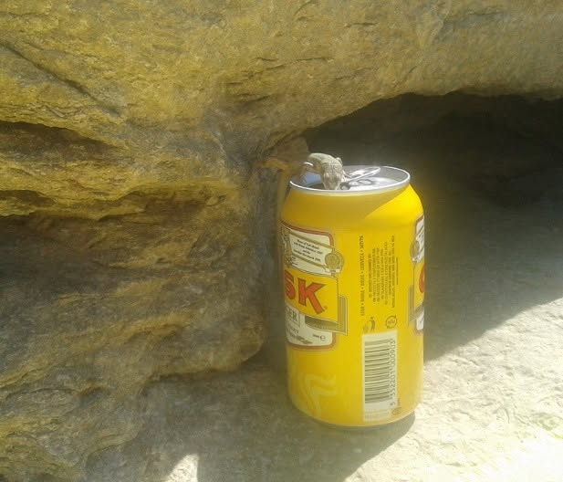 Een biertje voor iedereen!